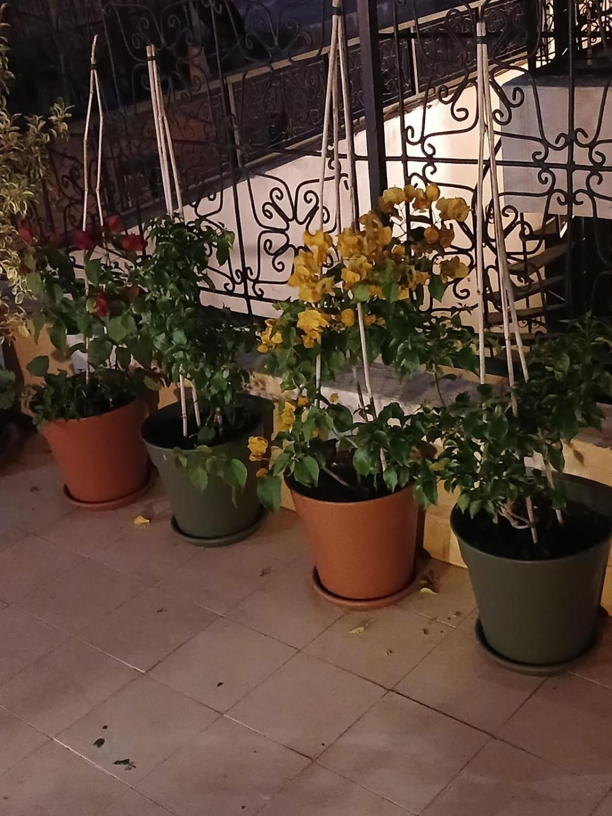 Riad Dantella Marrakesh Luaran gambar